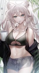 Rule 34 | 1girl, ahoge, animal ears, bare shoulders, bikini, bikini top only, black jacket, breasts, cleavage, commentary, cowboy shot, cup, grey eyes, grey hair, grey shorts, groin, highres, holding, holding cup, hololive, jacket, kawachi rin, large breasts, lion ears, long hair, looking at viewer, mouth hold, mug, navel, off shoulder, open clothes, open jacket, shishiro botan, short shorts, shorts, solo, standing, stomach, swimsuit, two side up, very long hair, virtual youtuber