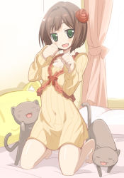 Rule 34 | 10s, 1girl, :3, :d, arata toshihira, barefoot, bed, bed sheet, blush, brown hair, cat, curtains, fang, flower, green eyes, hair flower, hair ornament, idolmaster, idolmaster cinderella girls, indoors, kneeling, looking at viewer, maekawa miku, naked sweater, navel, on bed, open mouth, paw pose, pillow, red flower, red rose, ribbed sweater, rose, short hair, smile, solo, sweater, wall, window