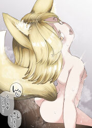 Rule 34 | 1boy, 1girl, :3, absurdres, animal ear fluff, animal ears, ass, blush, breasts, commentary request, completely nude, cowboy shot, fangs, fox ears, fox girl, fox tail, girl on top, grey background, heart, hetero, highres, kudamaki tsukasa, looking at viewer, looking back, medium bangs, nipples, nude, open mouth, sex, sex from behind, shika miso, short hair, small breasts, smile, solo focus, sweat, tail, touhou, translation request, yellow eyes