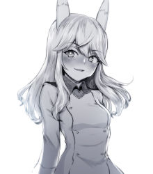 Rule 34 | 1girl, animal ears, fox ears, greyscale, heart, liar lawyer, long hair, looking at viewer, monochrome, ottilie kittel, parted lips, simple background, solo, white background, world witches series