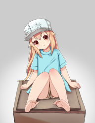 Rule 34 | 10s, 1girl, bare legs, barefoot, blue shirt, blue sleeves, brown eyes, brown hair, child, closed mouth, feet, female focus, flat cap, full body, hair between eyes, hat, hataraku saibou, head tilt, highres, knees together feet apart, long hair, looking at viewer, platelet (hataraku saibou), shirt, short sleeves, shorts, simple background, sitting, smile, soles, solo, the hermit, toes, upshorts, white hat