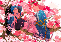 Rule 34 | 1boy, belt, blue hair, book, bracelet, capelet, charatei, cherry blossoms, cu chulainn (fate), cu chulainn (caster) (fate), dango, earrings, eating, elbow gloves, fate/grand order, fate (series), food, food in mouth, from side, full body, fur-trimmed hood, fur trim, gloves, harem pants, highres, hood, hood down, hooded capelet, in tree, jewelry, cu chulainn (fate/stay night), long hair, looking at viewer, lying, male focus, muscular, on back, pants, petals, red eyes, sanshoku dango, solo, spiked hair, tank top, toeless legwear, tree, type-moon, wagashi