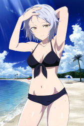 Rule 34 | 1girl, absurdres, aila paivikki linnamaa, armpits, arms up, beach, beach umbrella, bikini, black bikini, blue hair, blue sky, breasts, cleavage, closed mouth, cloud, collarbone, day, hands in hair, highres, light blue hair, looking at viewer, luminous witches, medium breasts, megami magazine, mountainous horizon, navel, ocean, official art, outdoors, palm tree, scan, sky, smile, stomach, sunlight, swimsuit, takano akihisa, thighs, tree, umbrella, wet, world witches series, yellow eyes