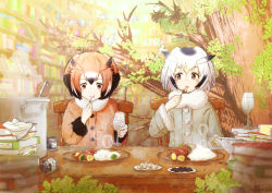 Rule 34 | 10s, 2girls, book, brown eyes, brown hair, buttons, coat, curry, curry rice, eating, eurasian eagle owl (kemono friends), food, grey hair, head wings, kemono friends, multiple girls, northern white-faced owl (kemono friends), omiomi kekyu, rice, short hair, sitting, table, wings