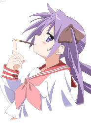 Rule 34 | 1girl, absurdres, blush, bow, commentary, cynical (llcbluckg c004), food, food in mouth, from side, hair bow, highres, hiiragi kagami, long hair, long sleeves, looking at viewer, lucky star, neckerchief, pocky, pocky in mouth, purple eyes, purple hair, red neckerchief, red sailor collar, ryouou school uniform, sailor collar, school uniform, shirt, signature, simple background, sleeves past wrists, smile, solo, twintails, upper body, white background, white shirt