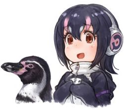 Rule 34 | 1girl, :d, animal, armband, bird, black hair, breasts, brown eyes, grape-kun, hair between eyes, hands on own chest, headphones, highres, humboldt penguin, humboldt penguin (kemono friends), kemono friends, lain, looking at viewer, medium breasts, multicolored hair, open mouth, penguin, pink hair, simple background, smile, two-tone hair, white background, zipper pull tab