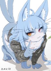 Rule 34 | 1boy, 4shi, :3, ahoge, all fours, animal ears, blue hair, bottomless, cat boy, cat ears, extra tails, furry, furry male, heterochromia, highres, japan air self-defense force, japan air self-defense force omaezaki sub-base, japan self-defense force, long hair, military, military uniform, omaneko, red eyes, solo, translated, trap, uniform, white background, yellow eyes