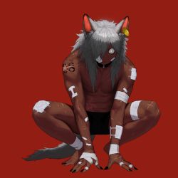 Rule 34 | 1boy, all fours, animal ear fluff, animal ears, bandages, bandaged arm, bandaged hand, bandaged leg, bandages, bandaid, bandaid on face, bandaid on hand, barefoot, black collar, black nails, closed mouth, collar, collarbone, dark-skinned male, dark skin, dgk, ear tag, fingernails, frown, grey hair, highres, long fingernails, long hair, male focus, nail polish, navel, original, red background, scar, scar on face, scar on mouth, topless male, simple background, solo, squatting, tail, toenails, werewolf, wide-eyed, wolf ears, wolf tail, yellow eyes