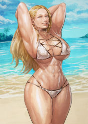 Rule 34 | 1girl, abs, absurdres, breasts, highres, kolin, large breasts, solo, street fighter