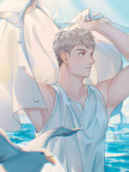 Rule 34 | 1boy, absurdres, arms up, bird, blue background, blue sky, brown eyes, brown hair, dungeon meshi, highres, laios touden, light brown hair, looking to the side, male focus, parted lips, seagull, short hair, sky, sunlight, tank top, upper body, very short hair, water, white tank top, yato (alphonse59)