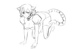 Rule 34 | 1girl, allison chan, animal ears, breasts, cleavage, facial mark, greyscale, large breasts, monochrome, sketch, solo, tail, tiger ears, tiger tail
