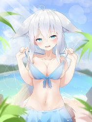 Rule 34 | 1girl, absurdres, ahoge, amato 0321, animal ears, aqua eyes, blush, breasts, cleavage, fox ears, fox girl, fox tail, grey hair, hair between eyes, highres, hololive, large breasts, long hair, low ponytail, navel, ocean, shirakami fubuki, shirakami fubuki (hololive summer 2019), solo, swimsuit, tail, virtual youtuber, white hair