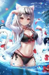 Rule 34 | 1girl, absurdres, animal, animal ear fluff, animal ears, arm up, bikini, black bikini, black hair, blue sky, braid, breasts, cat ears, cat girl, cat tail, cleavage, clenched hands, closed mouth, cloud, commentary, day, double bikini, grey hair, hair ornament, hand up, highres, hololive, jacket, long hair, long sleeves, looking at viewer, medium breasts, multicolored hair, navel, ocean, open clothes, open jacket, orca, outdoors, paw pose, petals, red bikini, red eyes, resolution mismatch, revision, sakamata chloe, see-through, see-through jacket, side-tie bikini bottom, side braid, sky, solo, source smaller, stomach, streaked hair, sun, swimsuit, tail, thighs, virtual youtuber, wading, wajuniorbox, water, white jacket, x hair ornament