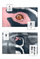 Rule 34 | 10s, animal, bird, comic, grape-kun, highres, humboldt penguin, kemono friends, penguin, tearing up, translated, zombiuk