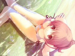 Rule 34 | 1girl, arm support, bikini, blush, breasts, brown eyes, brown hair, dead or alive, from above, highres, iizuki tasuku, kasumi (doa), knees together feet apart, large breasts, long hair, looking at viewer, looking up, outdoors, side-tie bikini bottom, sitting, solo, striped bikini, striped clothes, swimsuit, tecmo, wallpaper, water, wet