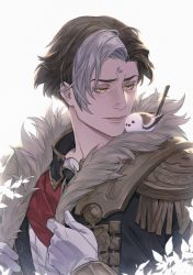 Rule 34 | 1boy, animal, animal on shoulder, bird, bird on shoulder, black coat, brown hair, coat, commentary, emet-selch, epaulettes, final fantasy, final fantasy xiv, fringe trim, fur-trimmed coat, fur trim, garlean, gloves, hands up, highres, looking at animal, male focus, mixed-language commentary, multicolored hair, short hair, simple background, solo, square enix, streaked hair, third eye, two-tone hair, upper body, white background, white gloves, yellow eyes, yufy