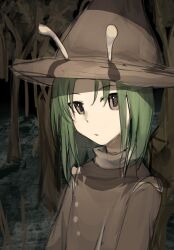 Rule 34 | 1other, amanomori shou, androgynous, antennae, bare tree, brown eyes, brown hat, brown shirt, chinese commentary, closed mouth, commentary request, euthan, forest, green hair, hat, highres, len&#039;en, medium hair, nature, other focus, outdoors, pointy hat, shirt, solo, tree, upper body