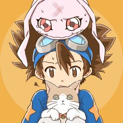 Rule 34 | brown eyes, brown hair, cat, digimon, digimon (creature), digimon adventure, goggles, goggles on head, highres, koromon, red eyes, tagme, yagami taichi