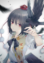Rule 34 | 1girl, belt, bird, bird on hand, black belt, black bow, black bowtie, black hair, black wings, bow, bowtie, breasts, closed mouth, collared shirt, commentary request, crow, feathered wings, fingerless gloves, gloves, hat, highres, leaf print, moseley, pom pom (clothes), puffy short sleeves, puffy sleeves, red eyes, red hat, shameimaru aya, shirt, short sleeves, simple background, small breasts, tengu, tokin hat, touhou, upper body, white background, white shirt, wings