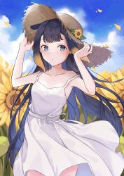 Rule 34 | 1girl, bare arms, blue sky, blush, cguanjen, closed mouth, cloud, commentary, cowboy shot, day, dress, expressionless, falling petals, flower, hands up, hat, hat flower, highres, hololive, hololive english, long hair, looking at viewer, mole, mole under eye, ninomae ina&#039;nis, outdoors, petals, purple eyes, purple hair, sky, sleeveless, sleeveless dress, solo, straw hat, sunflower, symbol-only commentary, tentacle hair, virtual youtuber, white dress, yellow flower