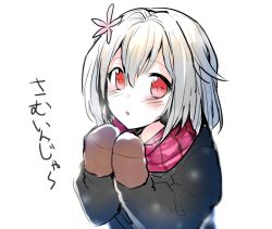 Rule 34 | 1boy, androgynous, bad id, bad twitter id, blush, erubo, flower, hair ornament, male focus, mittens, open mouth, original, red eyes, scarf, silver hair, solo, translated, trap, white background, yohane bonaventura