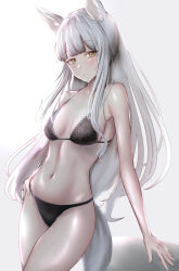 Rule 34 | 1girl, absurdres, animal ears, arknights, bare arms, bare shoulders, black bra, black panties, blunt bangs, blush, bra, breasts, cleavage, closed mouth, collarbone, cowboy shot, grey hair, hand on own hip, highres, horse ears, horse girl, horse tail, lace, lace-trimmed bra, lace trim, lingerie, long hair, medium breasts, panties, platinum (arknights), poni (poni arknights), sidelocks, simple background, solo, tail, underwear, underwear only, very long hair, white background, yellow eyes