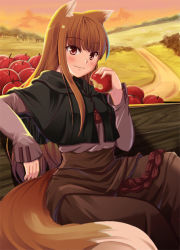 Rule 34 | 00s, 1girl, animal ears, apple, brown hair, food, fruit, holding, holding food, holding fruit, holo, long hair, nekonote (nekono paraiso), red eyes, solo, spice and wolf, tail, wolf ears, wolf tail