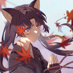 Rule 34 | 1girl, absurdres, animal ear fluff, animal ears, arknights, autumn leaves, black gloves, black hair, black kimono, blurry, closed mouth, day, depth of field, dog ears, facial mark, fingerless gloves, forehead mark, from side, gloves, highres, japanese clothes, kimono, kiscript, leaf, long hair, looking at viewer, looking to the side, maple leaf, outdoors, parted bangs, saga (arknights), solo, upper body, very long hair, yellow eyes