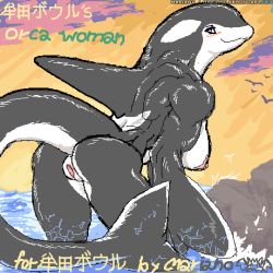 Rule 34 | anus, ass, bent over, breasts, furry, lowres, mariano, muscular, orca, pussy, tail, thick thighs, thighs