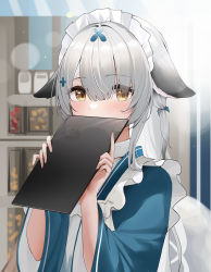 Rule 34 | 1girl, alternate costume, animal ears, azur lane, blurry, blurry background, blush, commentary request, grey hair, hair ornament, highres, long hair, looking at viewer, maid, maid headdress, miyuki (azur lane), miyuki (shopping rendezvous) (azur lane), portrait, qing wu, reflection, solo, tail, wa maid, yellow eyes
