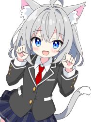 1girl :d ahoge animal_ear_fluff animal_ears black_jacket blue_eyes blue_skirt blush cat_ears cat_girl cat_tail collared_shirt commentary_request cowboy_shot dot_nose grey-haired_cat_girl_(kotatsu-mazoku) grey_hair hands_up highres jacket kotatsu-mazoku long_sleeves looking_at_viewer necktie open_mouth original plaid_clothes plaid_skirt pleated_skirt red_necktie school_uniform shirt short_hair simple_background skirt smile solo tail white_background white_shirt