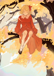 Rule 34 | 1girl, absurdres, aki shizuha, arm support, arms at sides, autumn, autumn leaves, black footwear, blonde hair, bobby socks, branch, chinese commentary, closed mouth, collared dress, commentary, dress, full body, hair ornament, highres, leaf hair ornament, long sleeves, looking down, mary janes, orange dress, orange eyes, shoes, short hair, sitting, smile, socks, solo, touhou, tree, white socks, yongyu366