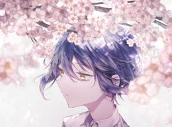 Rule 34 | 1boy, black hair, blurry, blurry background, brown eyes, cherry blossoms, closed mouth, collared shirt, commentary request, danganronpa (series), danganronpa v3: killing harmony, flower, from side, goto (sep), male focus, pink flower, saihara shuichi, shirt, short hair, solo, white shirt