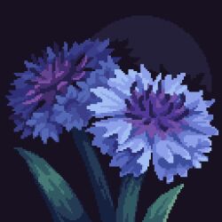 Rule 34 | blue background, blue flower, cornflower, flower, flower focus, highres, leaf, louispretends, no humans, original, pixel art, plant, shadow, spotlight