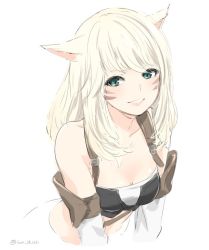 Rule 34 | 10s, 1girl, animal ears, aqua eyes, bare shoulders, blonde hair, breasts, cleavage, collarbone, cowboy shot, detached sleeves, facial mark, final fantasy, final fantasy xiv, ica, lips, long hair, looking at viewer, medium breasts, midriff, miqo&#039;te, simple background, smile, solo, twitter username, warrior of light (ff14), whisker markings, white background