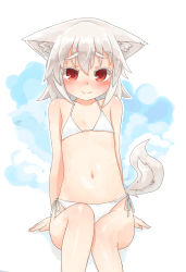 Rule 34 | 1girl, aged down, animal ear fluff, animal ears, bikini, blush, commentary request, covered erect nipples, flat chest, hair between eyes, highres, inubashiri momiji, kibisake, looking at viewer, navel, red eyes, short hair, side-tie bikini bottom, simple background, smile, solo, swimsuit, tail, touhou, white background, white bikini, white hair, wolf ears, wolf tail
