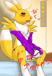 Rule 34 | 1girl, animal ears, bed, black sclera, blush, breasts, breath, claws, clitoris, colored sclera, constricted pupils, detached sleeves, digimon, digimon (creature), dildo, drooling, female focus, female masturbation, fid, fox tail, furry, furry female, green eyes, highres, holding, indoors, masturbation, no nipples, nude, object insertion, on bed, open mouth, own hands together, pussy, pussy juice, renamon, saliva, sex toy, sitting, slit pupils, small breasts, solo, sweat, tail, text focus, tongue, tongue out, translation request, trembling, uncensored, vaginal, vaginal object insertion, vibrator