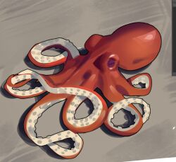 Rule 34 | animal focus, ghost (tama), grey background, octopus, original, simple background, tentacles