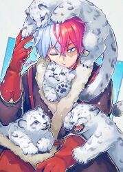 Rule 34 | 1boy, animal, blue eyes, boku no hero academia, cat, closed eyes, commentary, earrings, gloves, highres, jewelry, kitten, mecyo (mamezurushiki), multicolored hair, official alternate costume, one eye closed, open mouth, red gloves, red hair, snow leopard, solo, sound effects, symbol-only commentary, todoroki shouto, two-tone hair, white hair