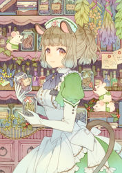 Rule 34 | 1girl, animal ears, apron, ascot, blue ascot, book, bottle, commentary request, cowboy shot, dress, duster, elbow gloves, feather duster, frilled apron, frills, from side, gloves, green apron, green dress, grey hair, half updo, hat, highres, holding, holding jar, jar, kuroyuki, looking at viewer, mouse (animal), mouse ears, mouse tail, name tag, nurse cap, original, pharmacy, pinafore dress, plant, ponytail, purple eyes, shelf, sleeveless, sleeveless dress, smile, solo, tail, vines, waist apron, white apron, white gloves