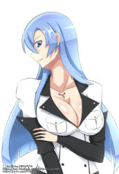 Rule 34 | 10s, 1girl, absurdres, akame ga kill!, an.ritter, blue eyes, blue hair, breasts, cleavage, colored eyelashes, esdeath, highres, large breasts, long hair, matching hair/eyes, military, military uniform, no headwear, smile, solo, tattoo, uniform, upper body, very long hair