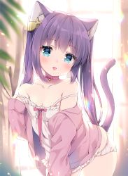Rule 34 | 1girl, animal ear fluff, animal ears, ass, bare shoulders, bell, blue eyes, breasts, camisole, cat ears, cat girl, cat tail, choker, cleavage, collarbone, commentary request, curtains, fish hair ornament, frilled camisole, frills, garter straps, hair ornament, hand up, hood, hood down, hooded jacket, irori, jacket, jingle bell, leaning forward, long hair, long sleeves, looking at viewer, off shoulder, open clothes, open jacket, original, panties, pink choker, pink jacket, purple hair, sleeves past wrists, small breasts, solo, strap slip, tail, tongue, tongue out, twintails, underwear, very long hair, white camisole, white panties, window