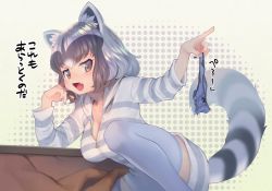 Rule 34 | 1girl, animal ear fluff, animal ears, black hair, blue nails, blue panties, blue thighhighs, blush, breasts, cleavage, commentary request, common raccoon (kemono friends), fang, holding, holding clothes, holding panties, holding underwear, hood, hood down, hoodie, kemono friends, kotatsu, large breasts, long sleeves, mifu (b24vc1), multicolored hair, nail polish, open mouth, panties, raccoon ears, raccoon tail, short hair, striped clothes, striped hoodie, striped tail, table, tail, thighhighs, translation request, underwear, unworn panties, zipper, zipper pull tab