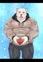 Rule 34 | 1boy, absurdres, animal ears, bara, bear boy, bear ears, blue background, blush, brown hoodie, bulge, character request, copyright request, fangs, feet out of frame, furry, furry male, grey pants, heart, heart hands, highres, hood, hoodie, large pectorals, letterboxed, male focus, muscular, muscular male, pants, pectorals, raineru (gryffindor131), scar, scar on face, scar on nose, short hair, solo, virtual youtuber, white fur