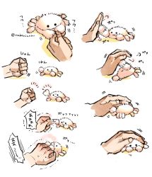 Rule 34 | . ., :3, animal, animal focus, clenched hand, commentary, crab, disembodied limb, fluffy, nabenko, petting, punching, rock paper scissors, sequential, simple background, smile, white background