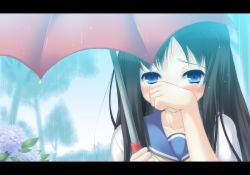 Rule 34 | 1girl, covering own mouth, flower, hydrangea, komi zumiko, letterboxed, original, rain, school uniform, serafuku, solo, tears, umbrella