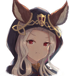 Rule 34 | 1girl, :t, animal ears, blush, closed mouth, commentary request, ears through headwear, forehead, granblue fantasy, highres, hood, hood up, long hair, looking at viewer, portrait, pout, red eyes, scathacha (granblue fantasy), silver hair, simple background, solo, v-shaped eyebrows, white background, yukitourou