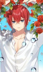 Rule 34 | 1boy, blue eyes, flower, highres, kwakah, red hair, riddle rosehearts, rose, shirt, simple background, solo, twisted wonderland, water drop, white shirt