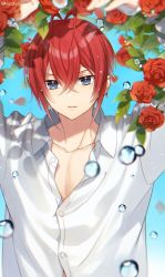 1boy blue_eyes flower highres kwakah red_hair riddle_rosehearts rose shirt simple_background solo twisted_wonderland water_drop white_shirt