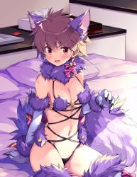 Rule 34 | 1girl, animal ear fluff, animal ears, animal hands, bed, bed sheet, bikini, black bikini, blush, breasts, brown hair, claw pose, cleavage, commentary, condom, condom wrapper, cosplay, eguchi sera, elbow gloves, fang, fate/grand order, fate (series), fur-trimmed gloves, fur-trimmed legwear, fur collar, fur trim, gloves, halloween, halloween costume, indoors, looking at viewer, mash kyrielight, mash kyrielight (dangerous beast), mash kyrielight (dangerous beast) (cosplay), medium breasts, mismatched bikini, navel, o-ring, o-ring bikini, odawara hakone, official alternate costume, on bed, open mouth, paw gloves, pillow, purple bikini, purple gloves, purple ribbon, purple thighhighs, red eyes, revealing clothes, ribbon, saki, saki (manga), saki achiga-hen, short hair, sitting, skindentation, smile, solo, sweatdrop, swimsuit, tail, thighhighs, tissue box, very short hair, wolf ears, wolf tail